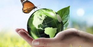 une main portant un globe vert représentant la terre et un papillon volant au sommet